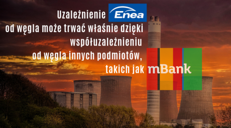 wspoluzaleznienie-mbank-enea.png