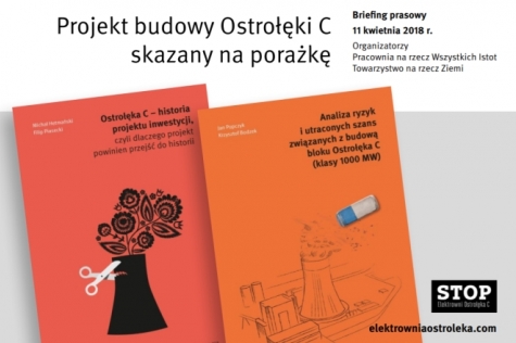 Eksperci potwierdzają – projekt budowy Ostrołęki C skazany na porażkę